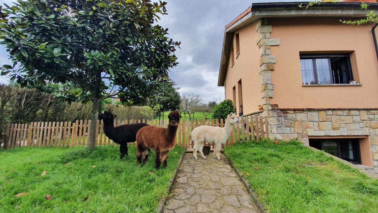 Hotel 3 Alpacas La Campa Luaran gambar